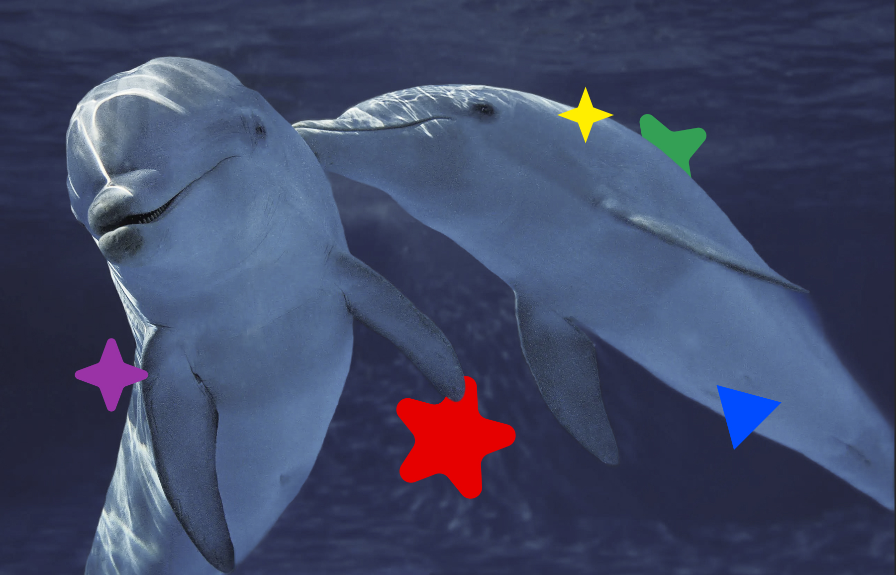 La naturaleza desmonta la homofobia: más de 1.500 especies practican conductas homosexuales y bisexuales