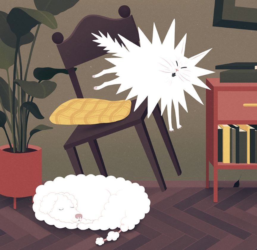 Las diez novelas gráficas trans que debes leer en el Día del Cómic